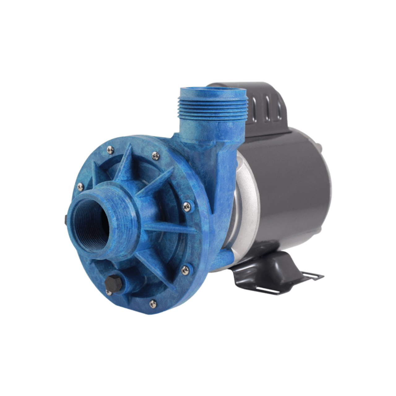 Aqua-Flo™ Circ-Master CMHP - 24-hour circulation pump